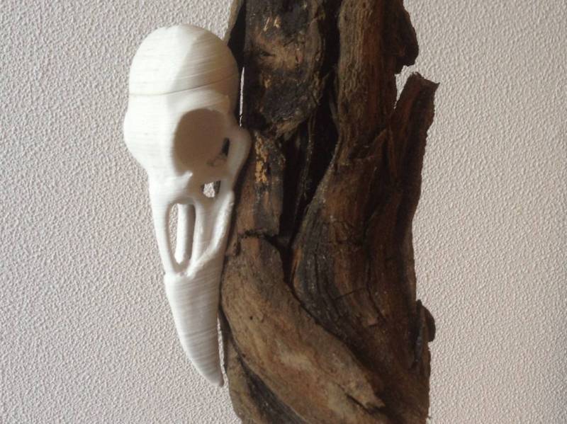 img_4331.jpg img_4331.jpg