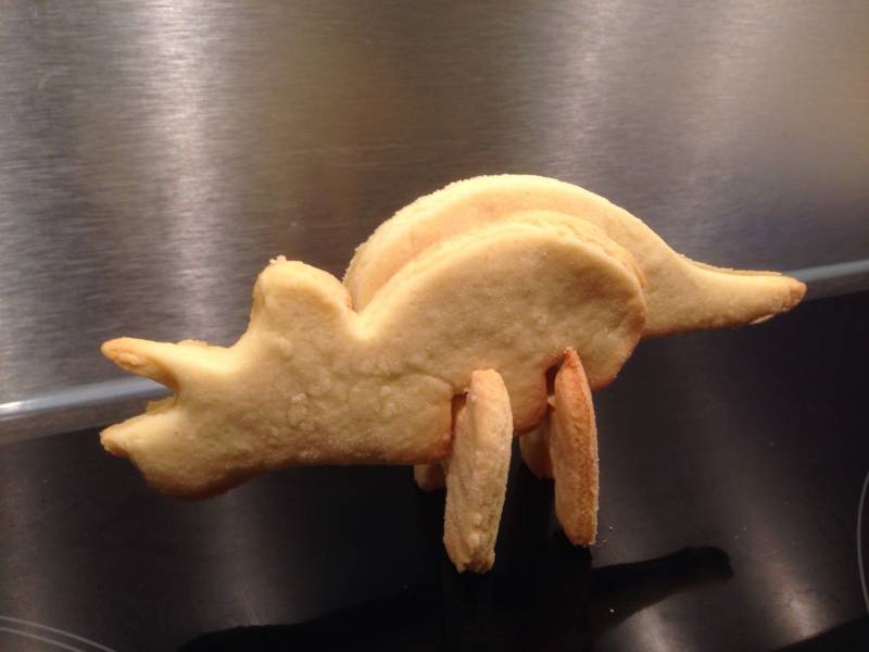 img_4724.jpg img_4724.jpg