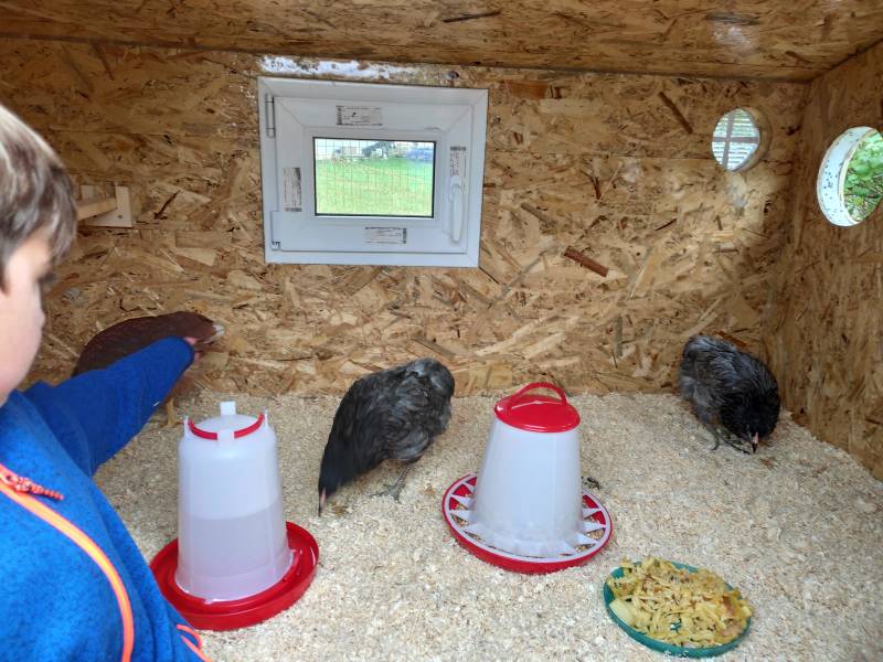 img_20201017_154259.jpg img_20201017_154259.jpg